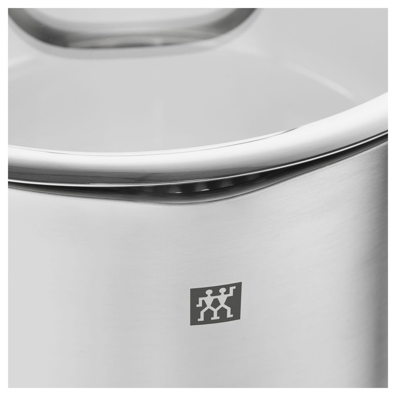 ZWILLING - TRUEFLOW - Stainless Steel Stew pot with Glass Lid - 20cm / 3L