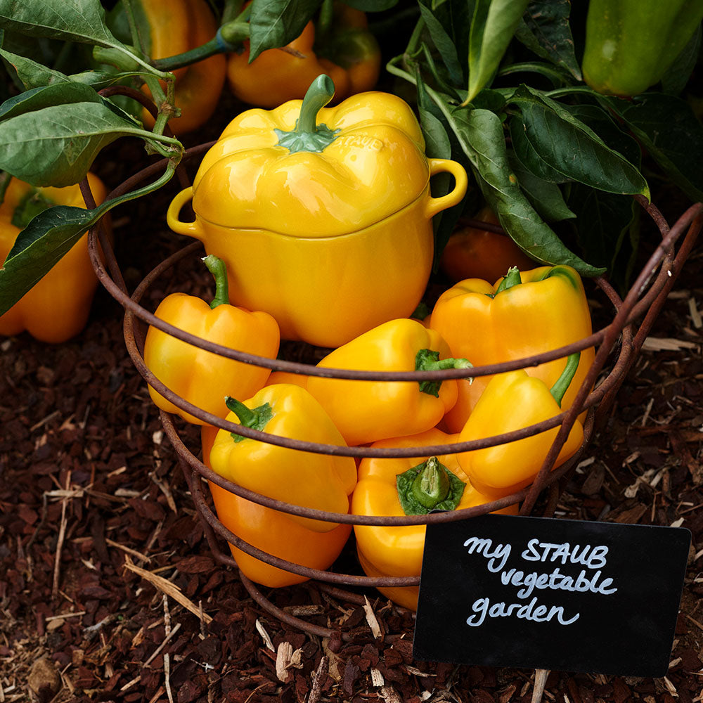 STAUB - Yellow Pepper Petite Cocotte - 12cm