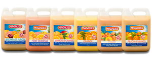 Magalies 5 litre 1+4 Nectar concentrate BUNDLE OF 6