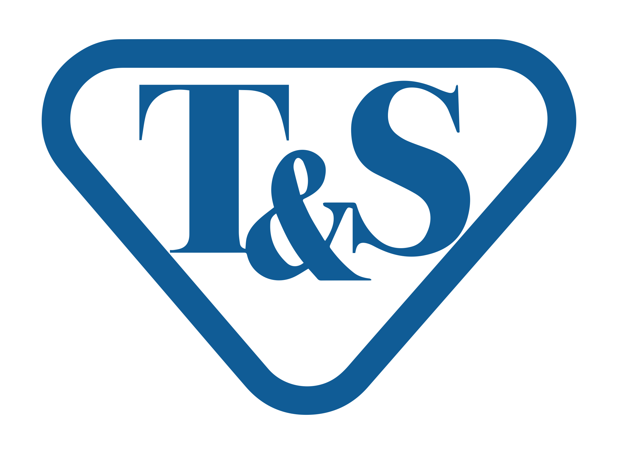 ts Logo